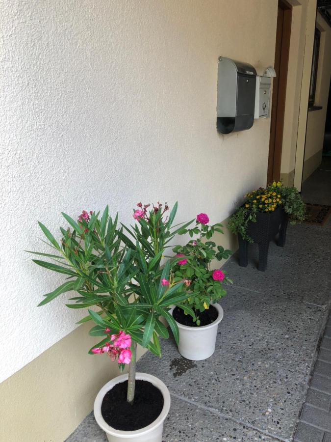 Ferienwohnung Am Gaessle Ettenheim Dış mekan fotoğraf