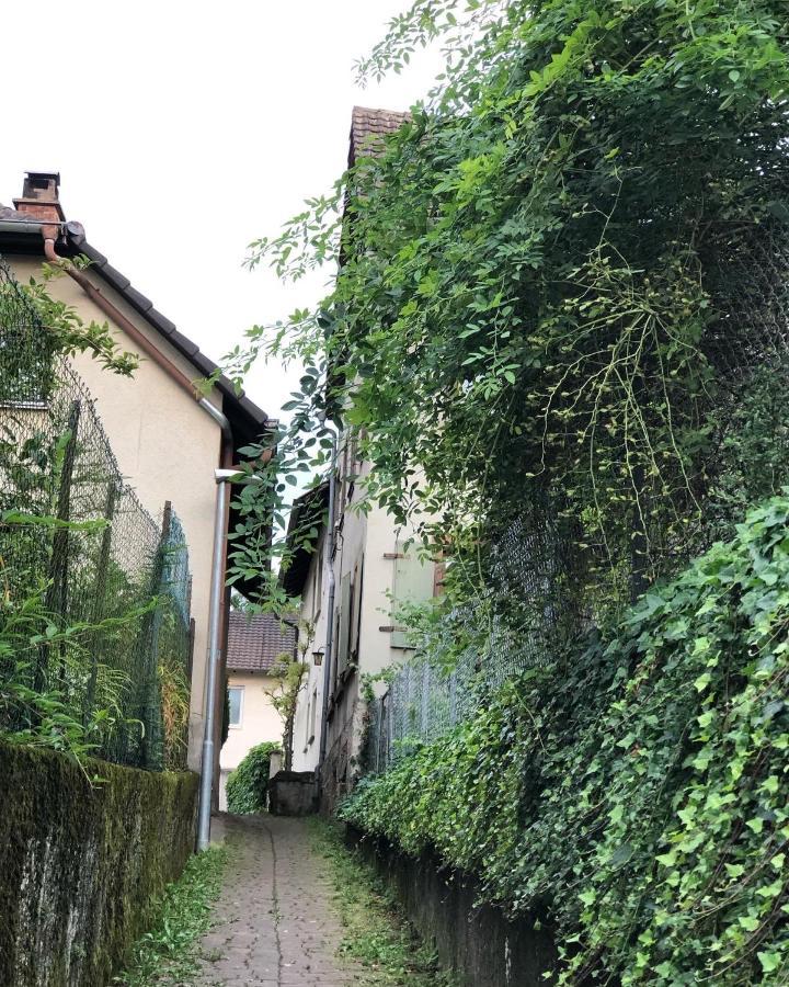 Ferienwohnung Am Gaessle Ettenheim Dış mekan fotoğraf